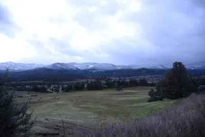 DSC_0988 (Large).JPG